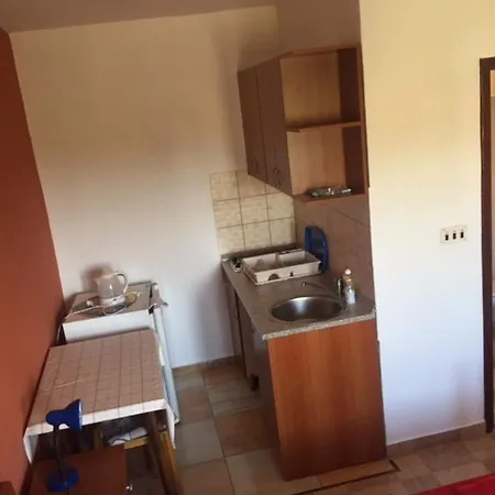 Guest house Bili *
